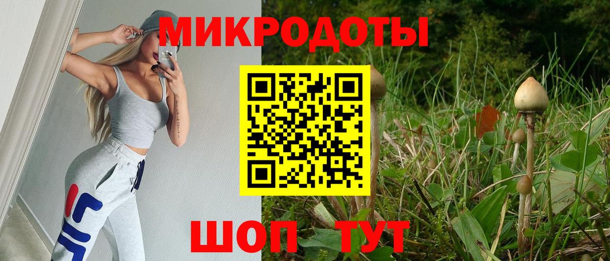 Кашира  Галлюциногенные грибы Psilocybe  Вход с VPN 