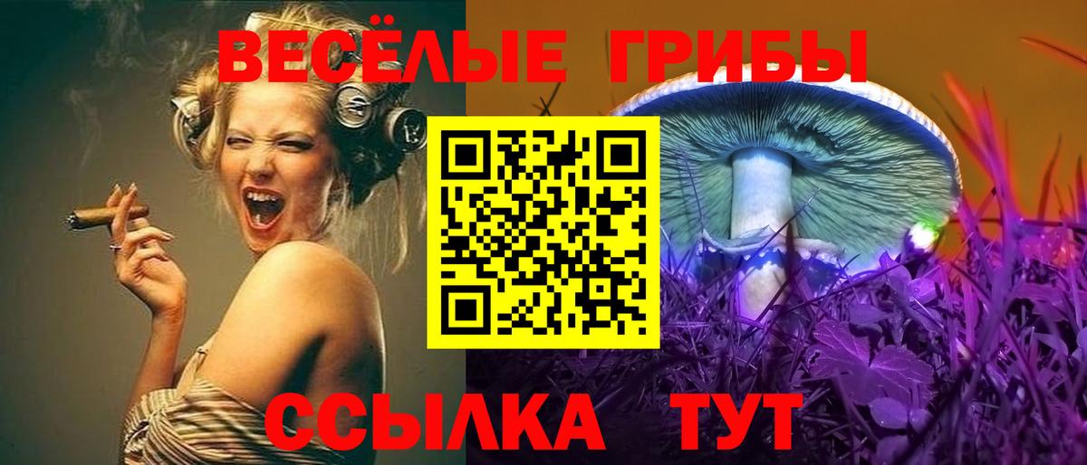Псилоцибиновые грибы мицелий Кашира